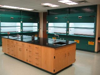 Synthetic lab facility